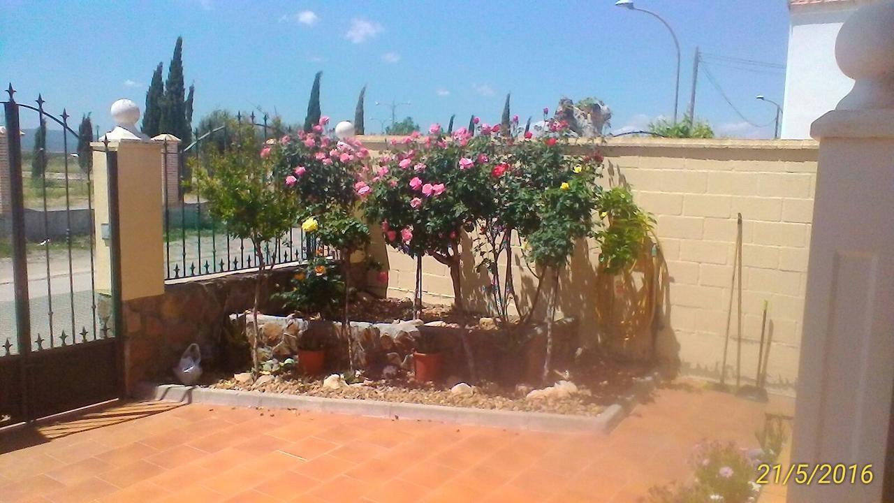 La Rosaleda De Orgaz Guest House Ngoại thất bức ảnh